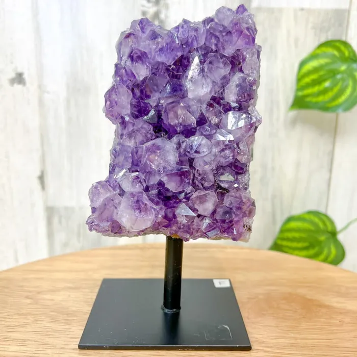 Magic Crystals Charm Necklaces Druzy Amethyst Cluster on A Stand F