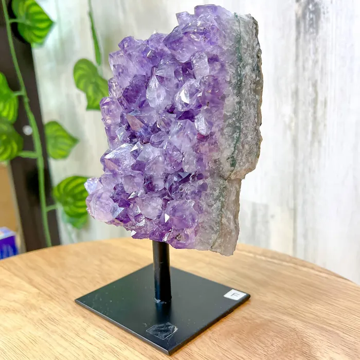 Magic Crystals Charm Necklaces Druzy Amethyst Cluster on A Stand F