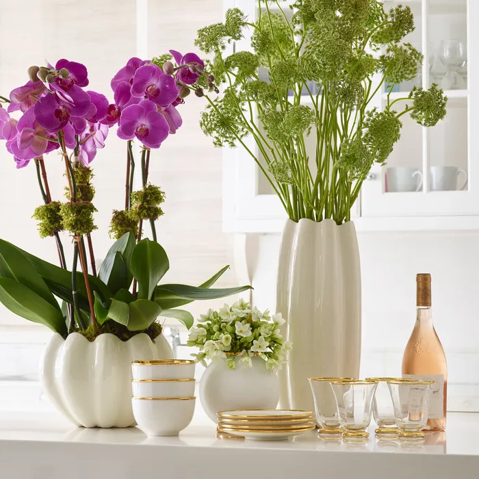 AERIN Mirabelle Cachepot Gold AERIN PreStyled Sets