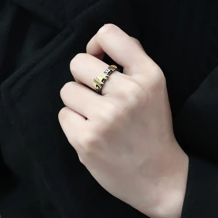Alamode TK3582 IP Gold IP Black Ion Plating Stainless Steel Ring with No Stone Rings
