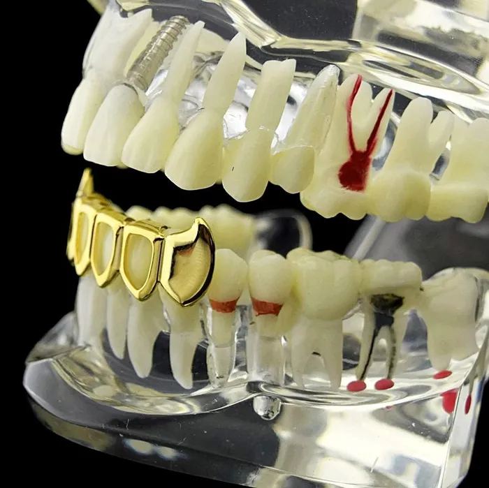 Bling Cartel Admin Rings 14K Gold Plated 4 Open Face Bottom Teeth Fang Grillz