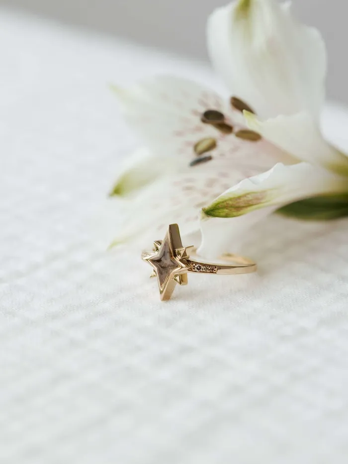 closebymejewelry North Star Diamond Band Cremation Ring in 14K White Gold Rings