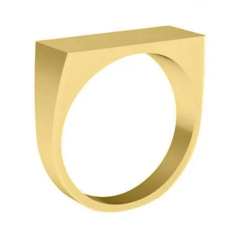 deBebians Rings Wide Rectangular Signet Ring for Men 23mm x 10mm deBebians Rings Wide Rectangular Signet Ring for Men 23mm x 10mm