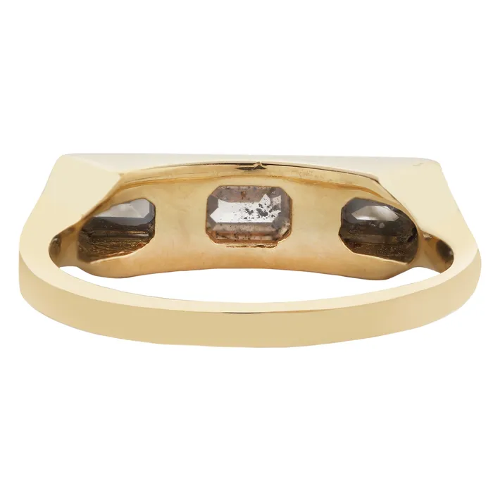 Desert Horizon Guardian Bar Ring Lauren Wolf Jewelry Rings