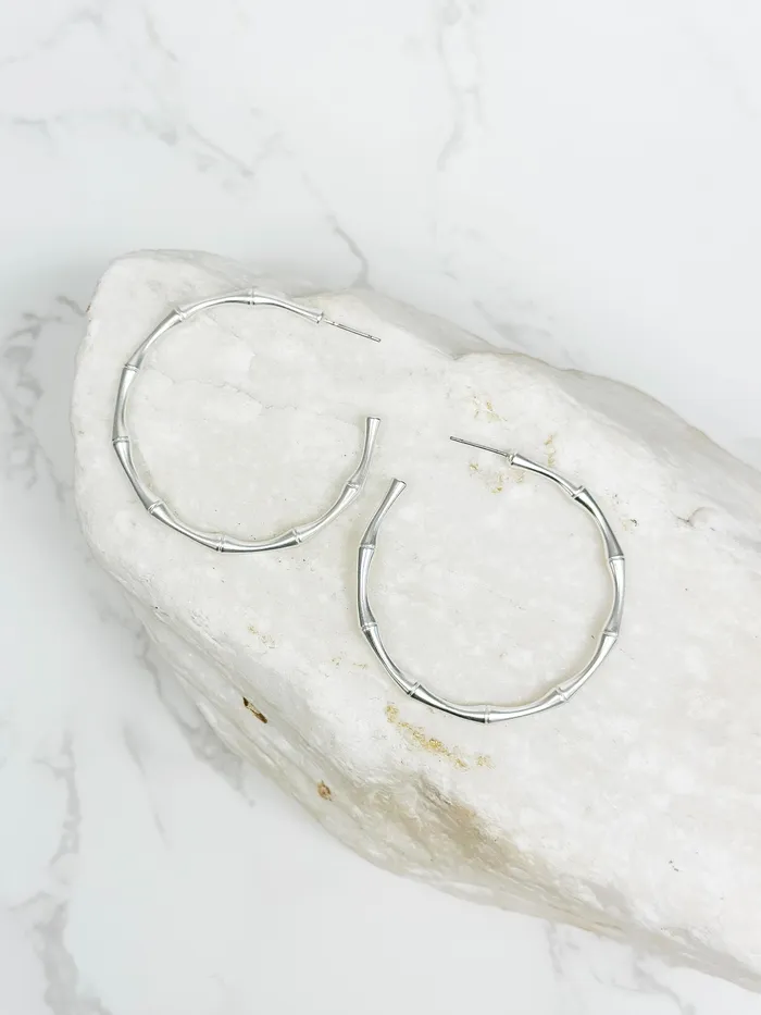 Prep Obsessed TS Earrings Bamboo Matte Metal Hoop Earrings Silver