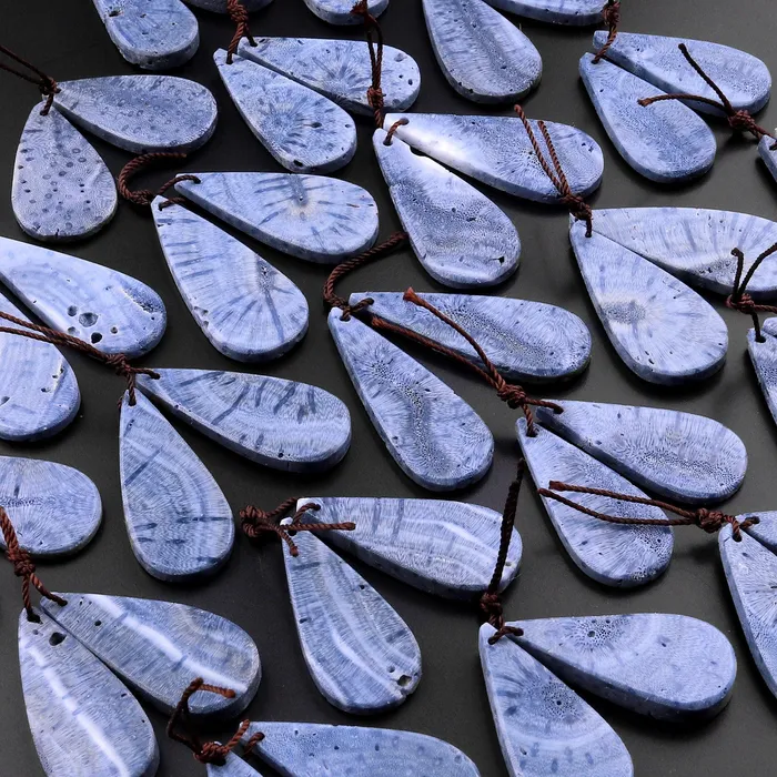 Intrinsic Trading Earrings Natural Real Genuine Blue Sponge Coral Long Teardrop Earring Pair Drilled Gemstone Matched Beads