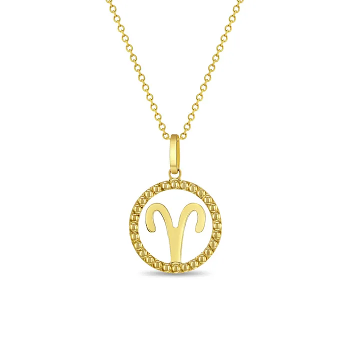 Kids Necklaces Pendants Necklaces 14k Gold Zodiac Coin Kids Childrens Girls PendantNecklace