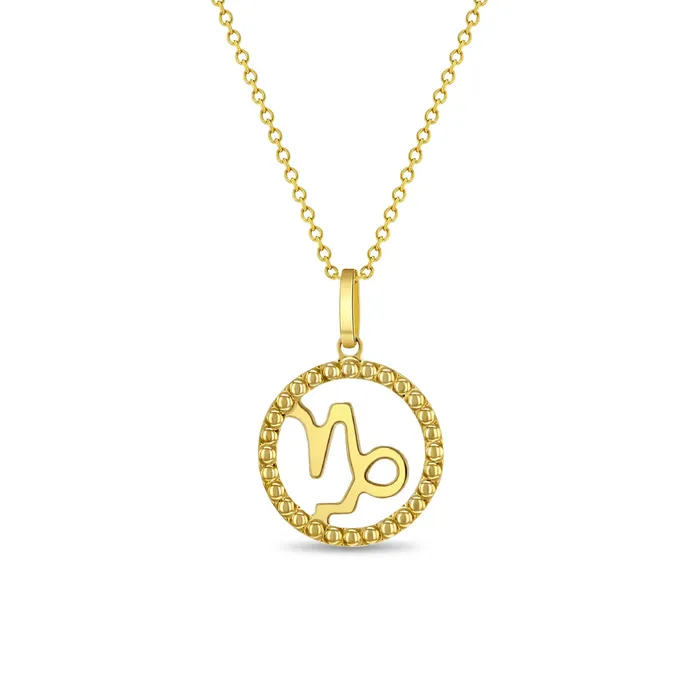 Kids Necklaces Pendants Necklaces 14k Gold Zodiac Coin Kids Childrens Girls PendantNecklace