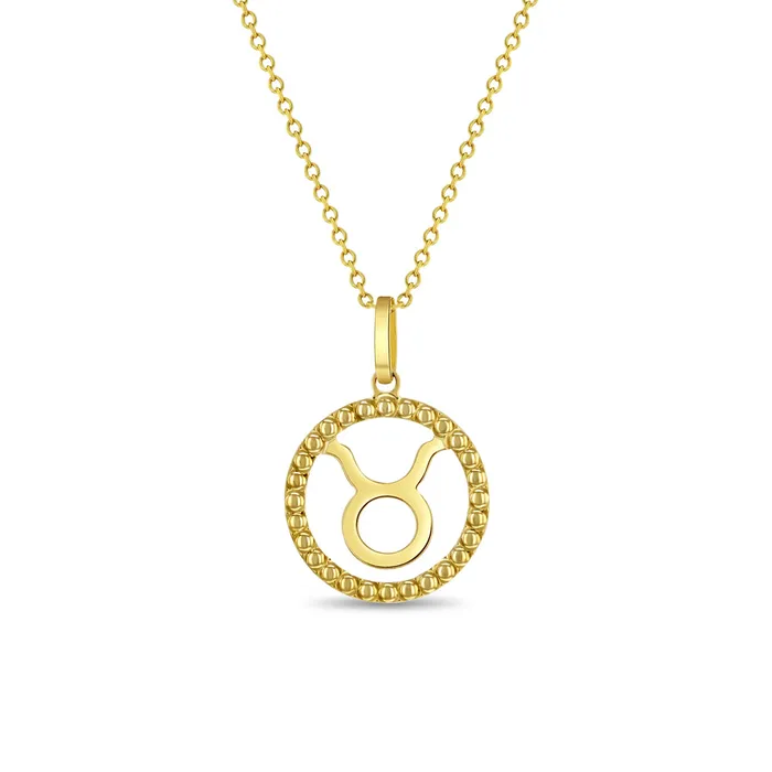 Kids Necklaces Pendants Necklaces 14k Gold Zodiac Coin Kids Childrens Girls PendantNecklace