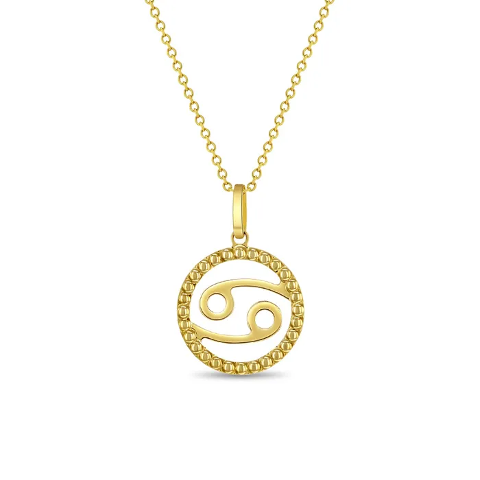 Kids Necklaces Pendants Necklaces 14k Gold Zodiac Coin Kids Childrens Girls PendantNecklace