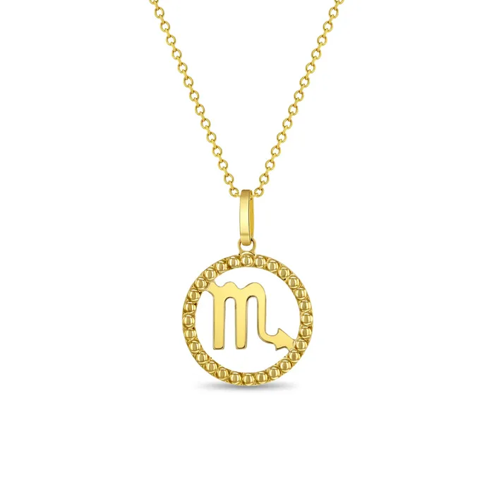 Kids Necklaces Pendants Necklaces 14k Gold Zodiac Coin Kids Childrens Girls PendantNecklace